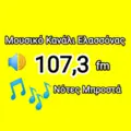 Μουσικό Κανάλι Ελλασόνας 107.3 Radio Logo
