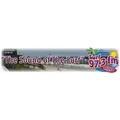 Surf 97.3 FM Radio Logo