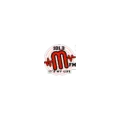 MFM 101.3 Radio Logo