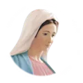 RADIO MARIA BOSNIA Radio Logo