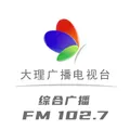 大理综合广播 Radio Logo
