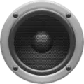 Золотой аккордеон  Radio Logo