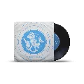 Radio.Fish Radio Logo