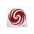 凤凰卫视中文台 Radio Logo