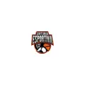 Sintonia Esportiva Radio Logo