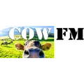 COW FM - Casino - 107.9 FM (MP3) Radio Logo