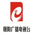 朝阳经济广播 AM648 Radio Logo