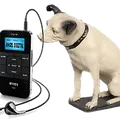Beat Route Radio  Radio Logo