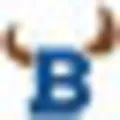 98.1 The Bull Radio Logo