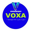 Radio Voxa Radio Logo