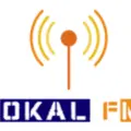 Радіо Сокаль Radio Logo