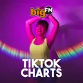 bigFM TikTok Charts Radio Logo