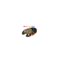 Hollands Palet Radio Logo