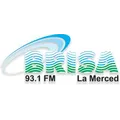 Brisa FM 93.1 Radio Logo