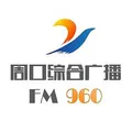周口综合广播 Radio Logo