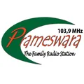 Prameswara 103.9 FM Lamongan Radio Logo