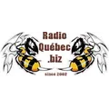 Radio Bizzz Radio Logo
