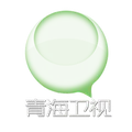 青海卫视伴音 Radio Logo