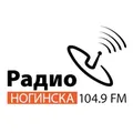 Радио Ногинска Radio Logo