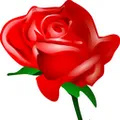 Tokyo Rose Radio Radio Logo