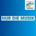 Radio Regenbogen Nur die Musik Radio Logo