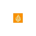 Aljazeera English Radio Logo