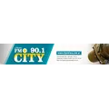 FM City 90.1 Radio Logo