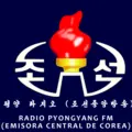 Pyongyang Radio FM Radio Logo