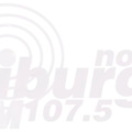 Nova Friburgo FM 107.5 Radio Logo