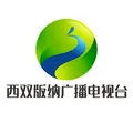 西双版纳傣语哈尼语广播（官网） Radio Logo