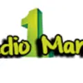 Radio 1 Manele Radio Logo