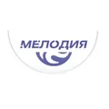 Радио Мелодия Воронеж 106.8 FM Radio Logo