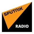 Спутник 91.2 fm Radio Logo
