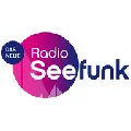 Radio Seefunk 90er pur Radio Logo