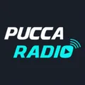 Pucca Radio Radio Logo