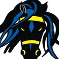 The Outlaw Radio Logo