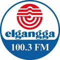 Elgangga FM Radio Logo
