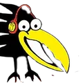 Crow FM 90.7 Wondai Radio Logo