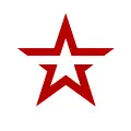 Звезда Radio Logo