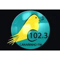 Canarinho FM 102.3 Mhz (Divinésia - MG) (ZYE339) Radio Logo