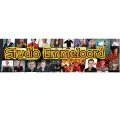 Studio Emmeloord  Radio Logo