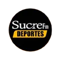 Play FM 95.3 Radio Logo
