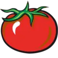 1029 Hot Tomato Radio Logo