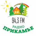 Прикамье Radio Logo