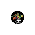 Tempo FM 87.9 Radio Logo