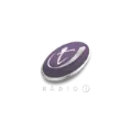 Radio T Guarapuava Radio Logo