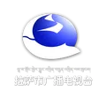 拉萨综合广播 Radio Logo