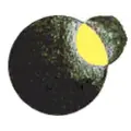 Orbital Rádio Radio Logo