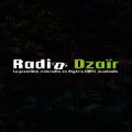 Radio Dzair Izuran Radio Logo