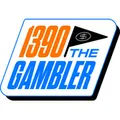 1390 WNIO Radio Logo